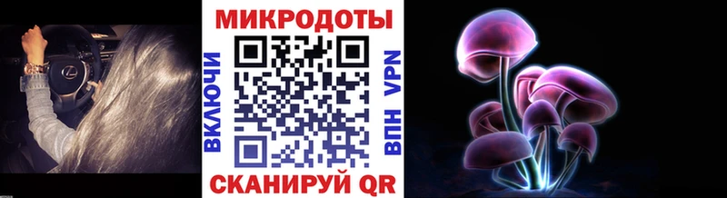 нарко площадка телеграм  где можно купить   Абинск  Псилоцибиновые грибы Cubensis 